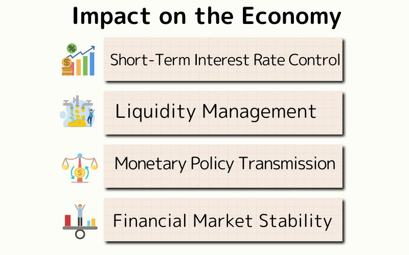 Impact on the Economy
