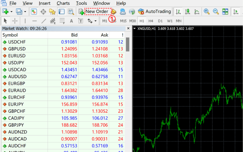Setting Stop Loss on MT4/MT5 Platforms