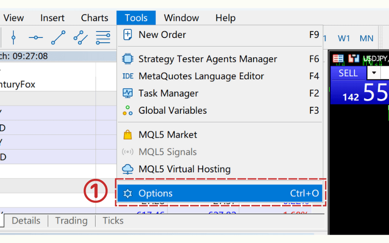 In the MT5 Tools menu, click “Options.” 