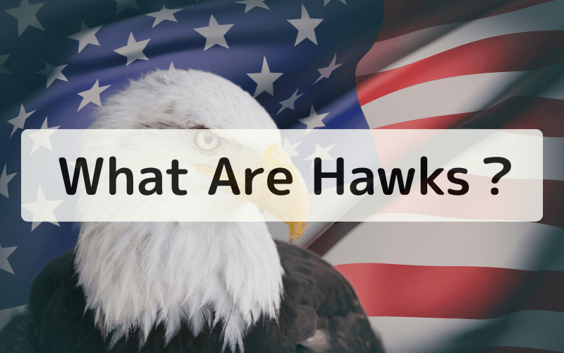Hawks 