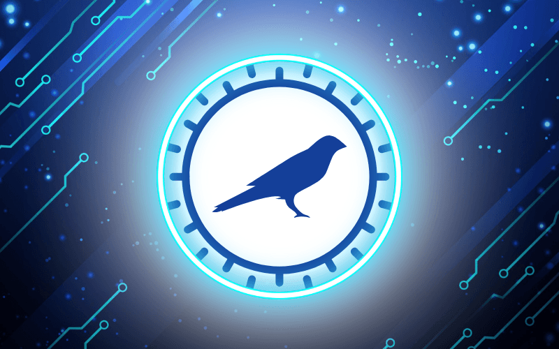 Kusama（KSM 币）完整解析：特征、用途、价格影响因素与 CFD 交易指南