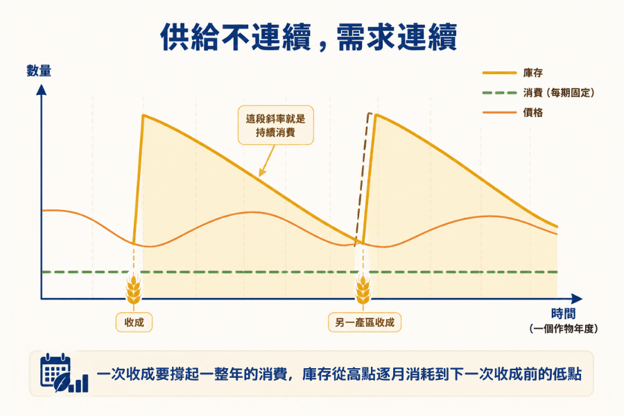農產品供給不連續與需求連續的對照圖:庫存在收成期跳升後逐月消耗形成鋸齒曲線,需求則是一條近乎水平的線,價格隨庫存高低反向起伏,並標示南半球收成造成的第二次補給