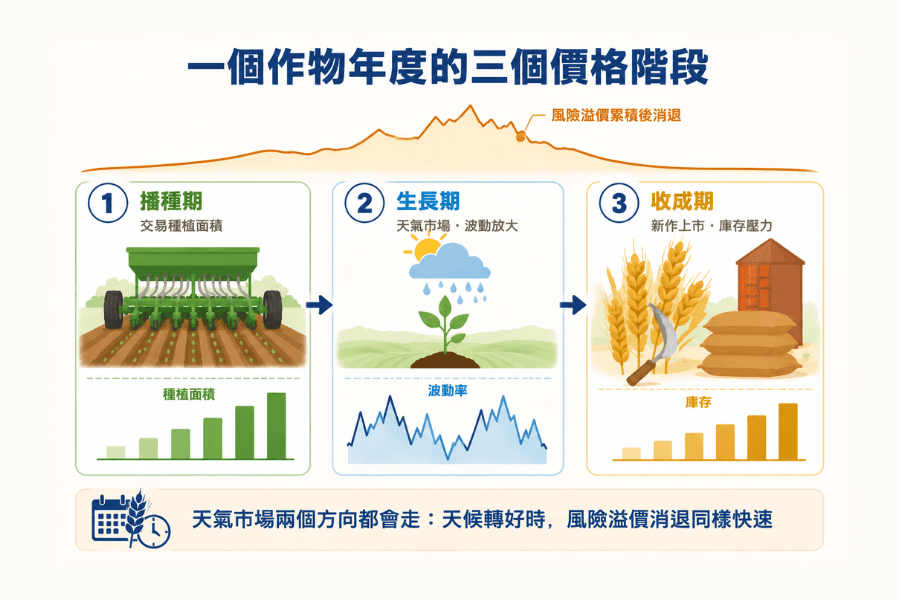 一個作物年度的三個價格階段示意圖:播種期交易種植面積、生長期進入天氣市場波動率升高、收成期出現庫存壓力,並標示風險溢價的累積與消退