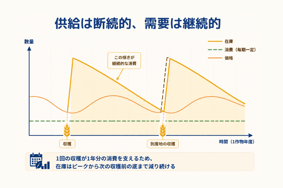 供給の不連続性と需要の連続性を対比した図。在庫は収穫時に跳ね上がったあと一定のペースで減り続けてノコギリ状の曲線を描き、消費はほぼ水平の一定線、価格は在庫と逆方向に動き、別産地の収穫による2回目の補給も示している