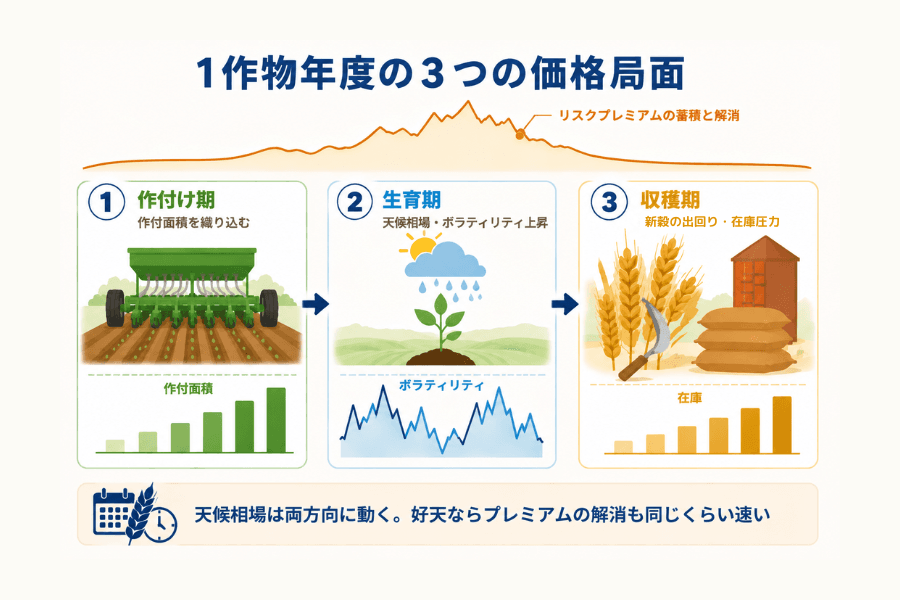 1作物年度の3つの価格局面を示した図。作付け期は作付面積を織り込み、生育期は天候相場でボラティリティが上昇し、収穫期は新穀の出回りで在庫が積み上がる流れと、その上でリスクプレミアムが蓄積して解消する曲線を示している