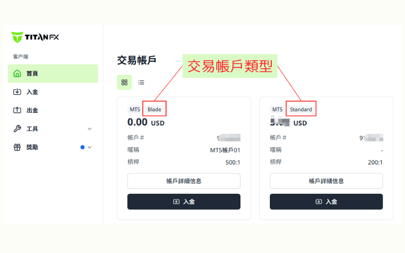 TitanFX交易账户类型确认