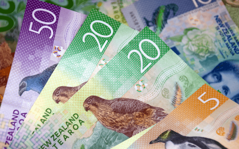 ニュージーランドドル(NZD)のFX取引方法と注文の流れを解説
