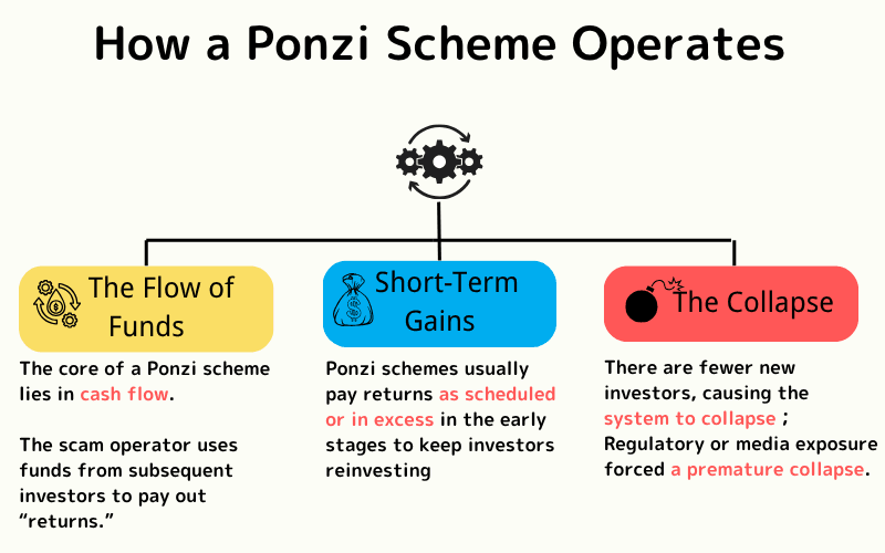 Ponzi scheme operating mechanism: flow of funds, early returns, and collapse phase