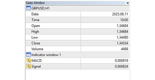 How to Display the Data Window on MT4 (Win)