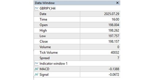 How to Display the Data Window on MT5 (Win)