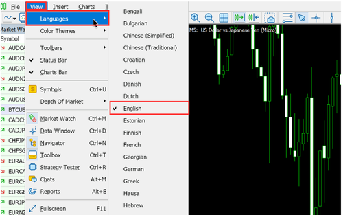 How to Change the Language on MT5 (Mac)