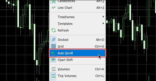 Methods for Toggling the Auto-Scroll Function in MT5 (Mac)