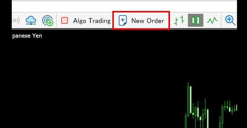 Ordering through the MT5 (Mac) Order Window