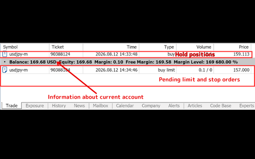 Check Positions, Orders, and Assets in MT5 (Mac)