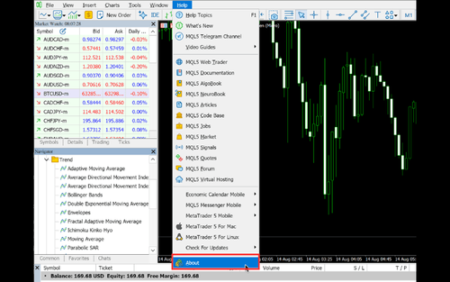 How to Check the Version of MT5 (Mac)