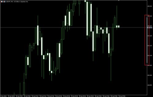 How to Lock the Scale on MT5 (Win)
