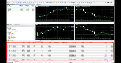 How to Check Account History in MT5 (Win)
