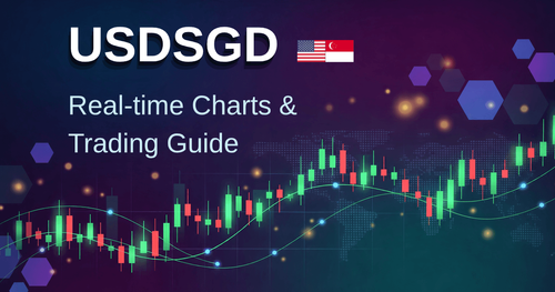交易美元／新加坡元 (USDSGD)：一份全面的初學者指南