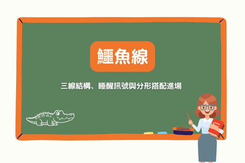 鱷魚線（Alligator）完整教學：三線結構、睡醒訊號與分形搭配進場