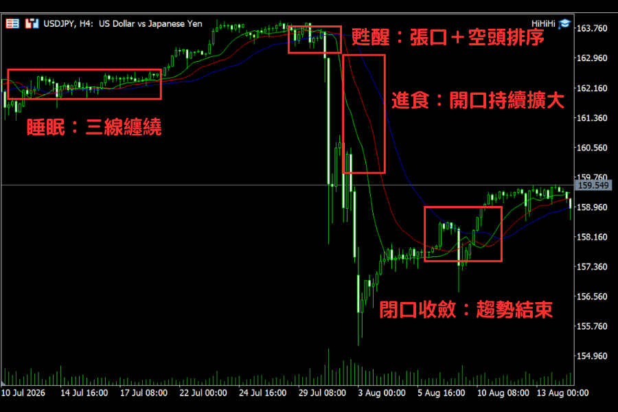 鳄鱼线状态标注：三线缠绕睡眠、张口排序苏醒、开口扩大进食到重新收敛的完整循环